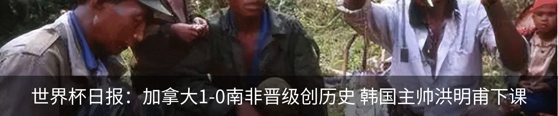 新闻动态