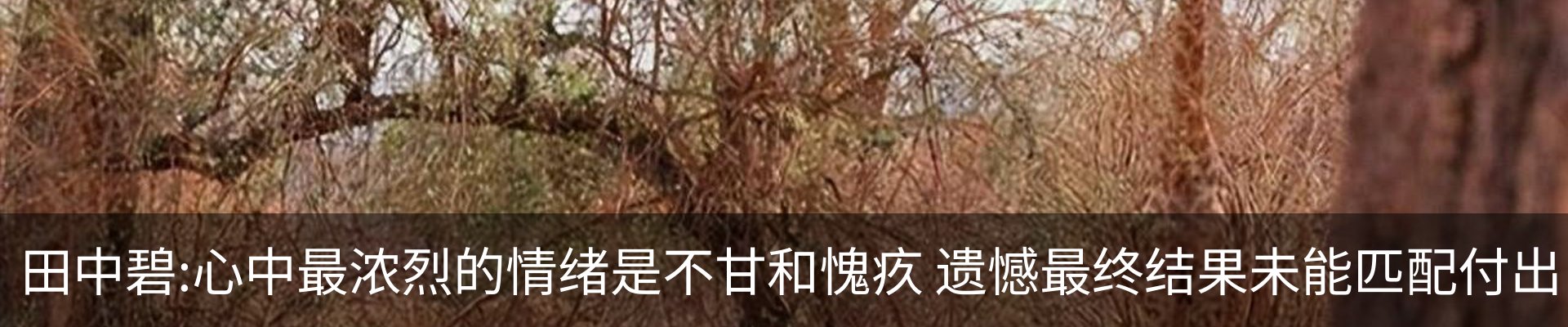 新闻动态