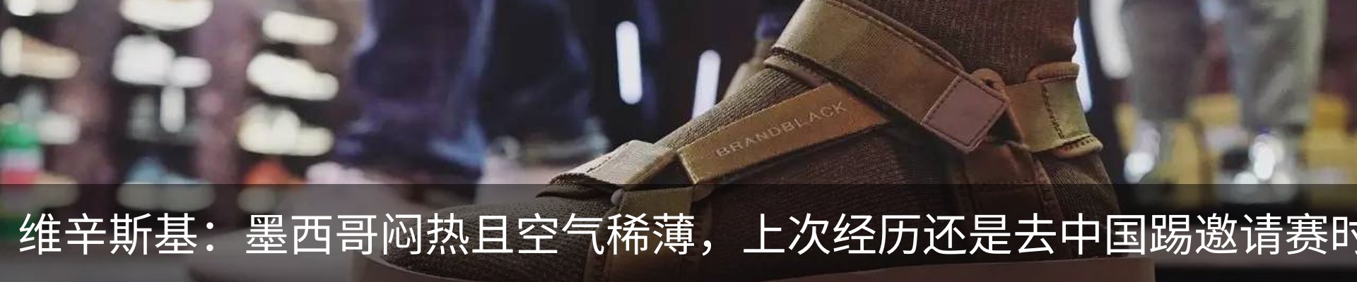 新闻动态
