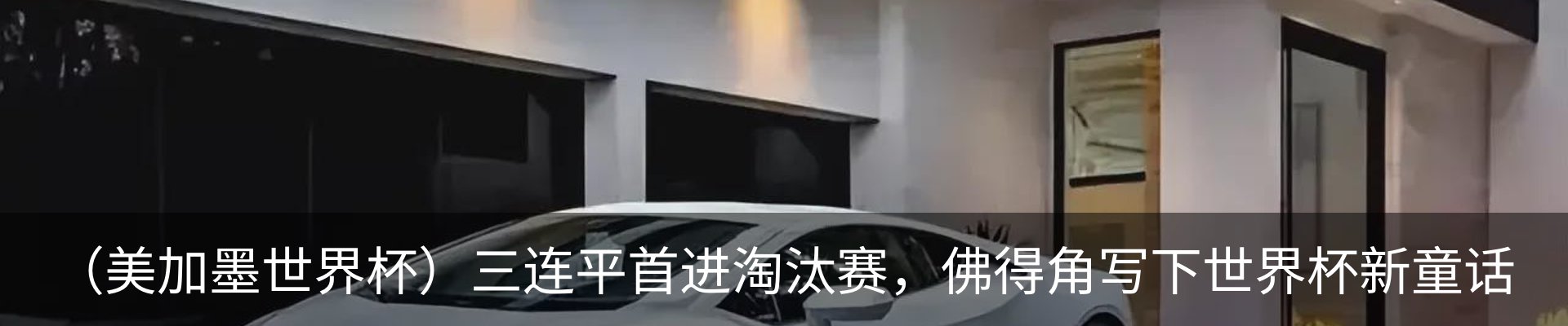新闻动态
